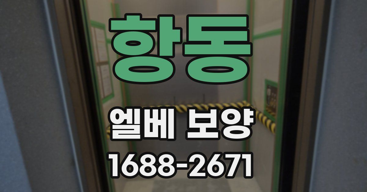 항동 엘베 보양