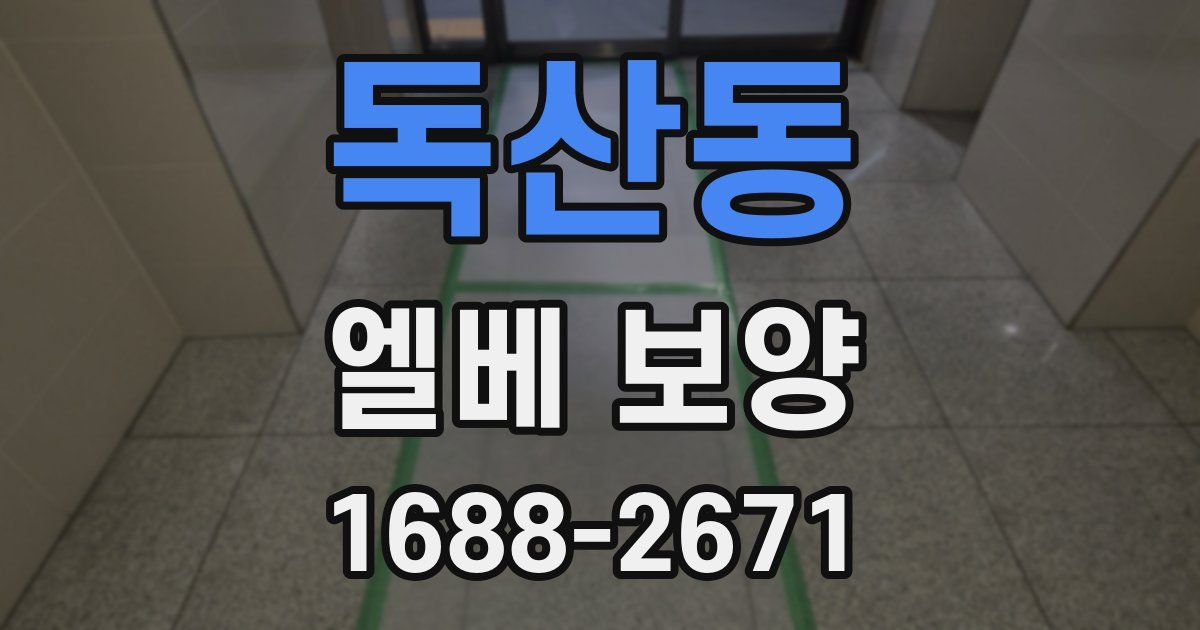 독산동 엘베 보양