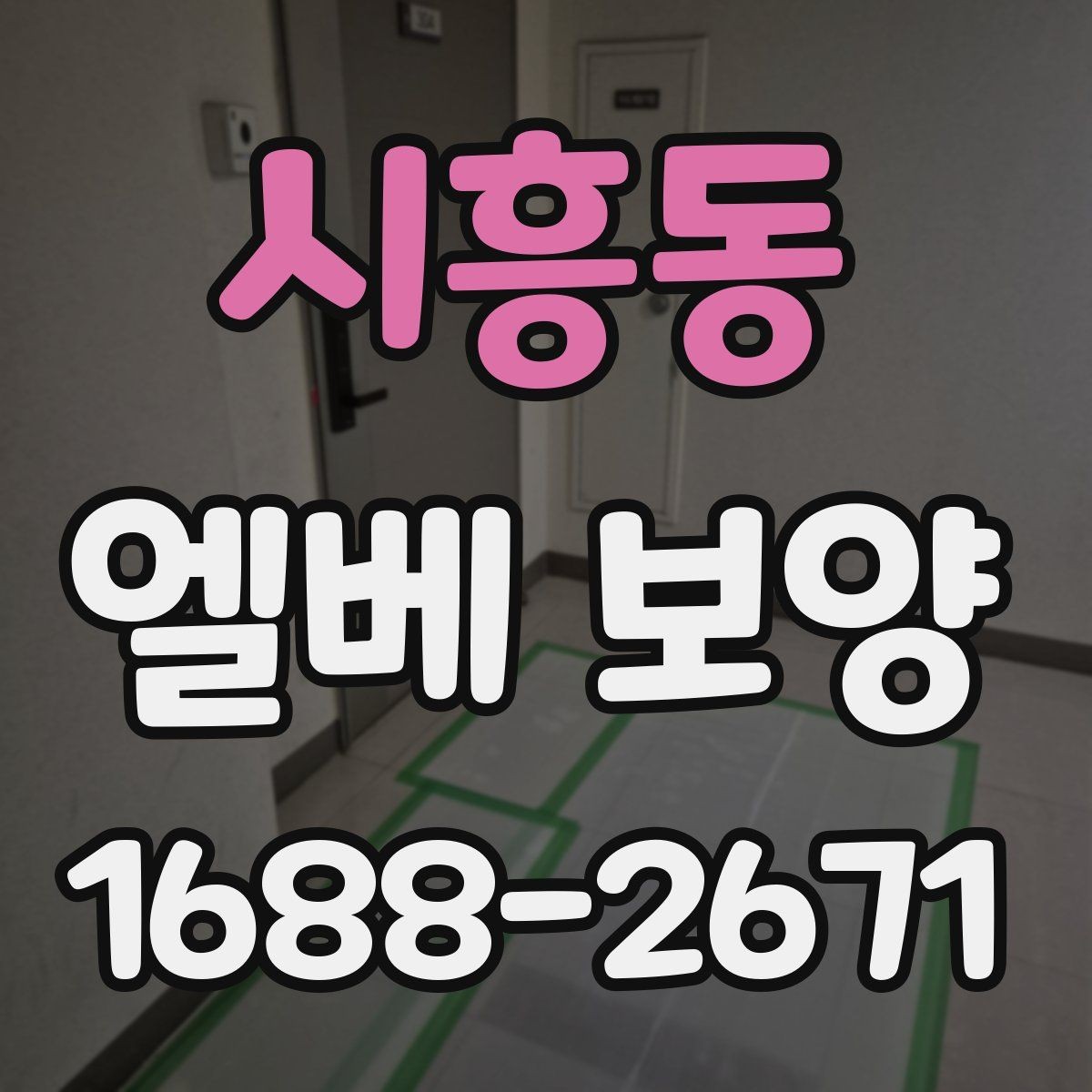 시흥동 엘베 보양 바닥과 벽면 오염을 줄이는 실무
