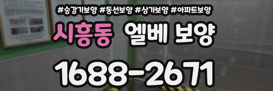 시흥동 엘베 보양