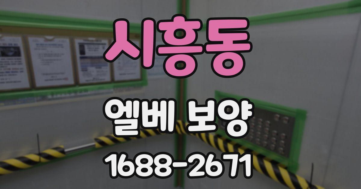 시흥동 엘베 보양