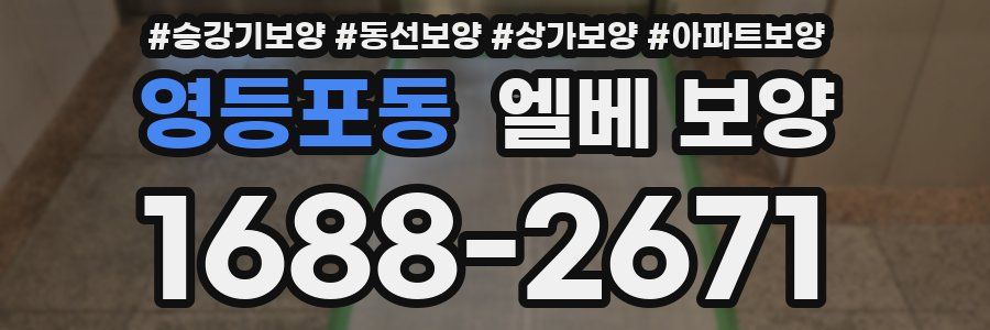 영등포동 엘베 보양