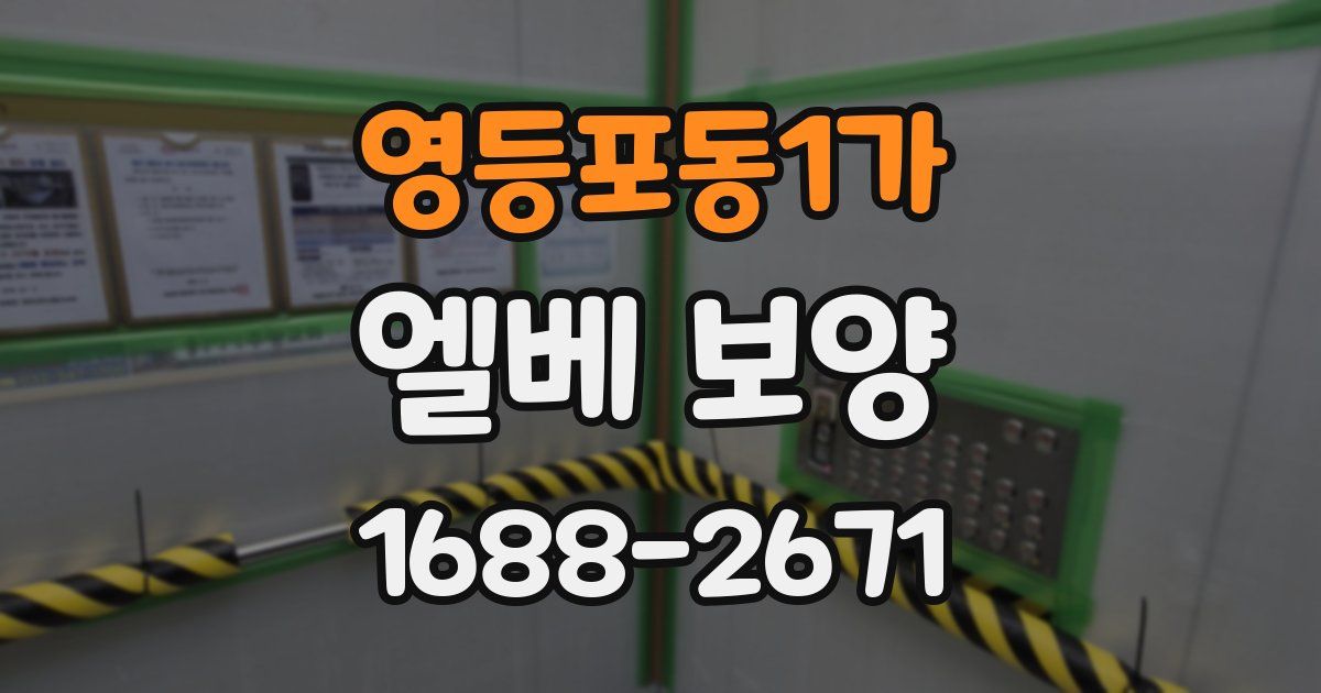 영등포동1가 엘베 보양