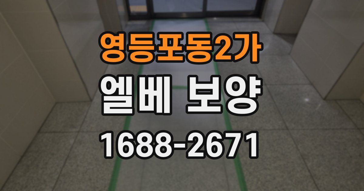 영등포동2가 엘베 보양