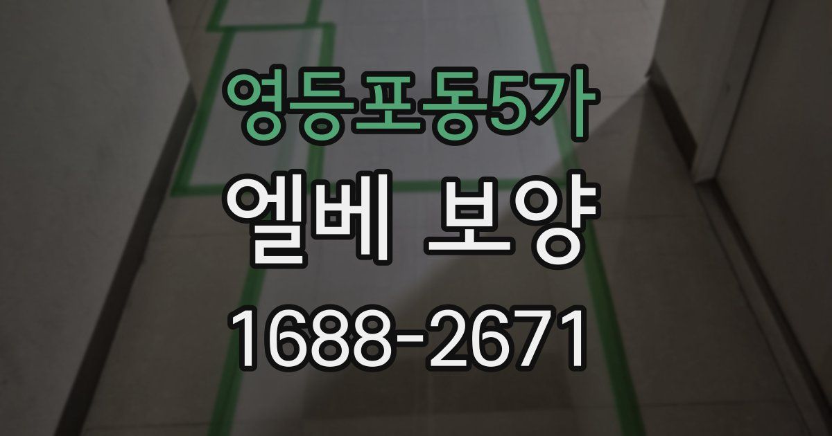 영등포동5가 엘베 보양