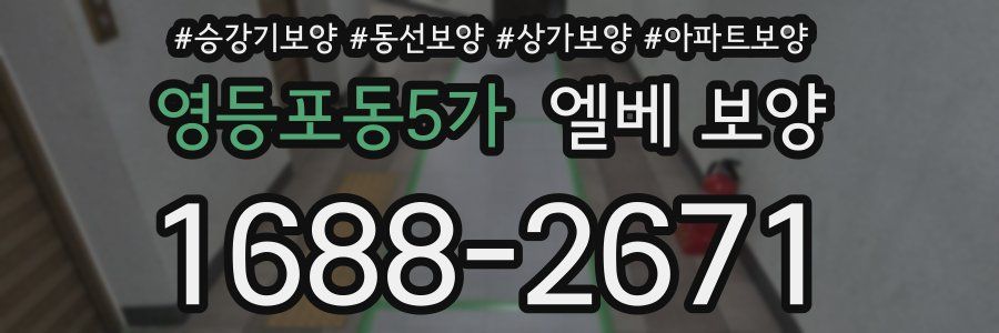 영등포동5가 엘베 보양