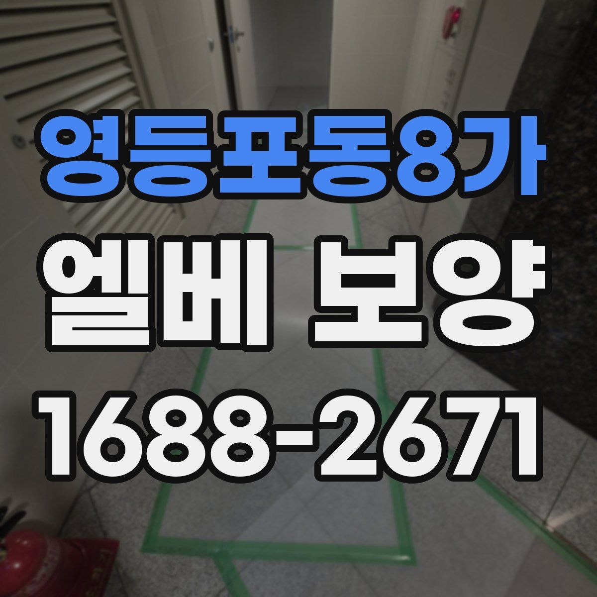 영등포동8가 엘베 보양