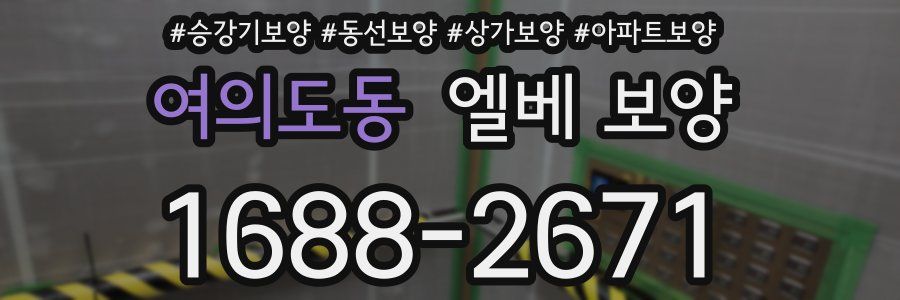 여의도동 엘베 보양