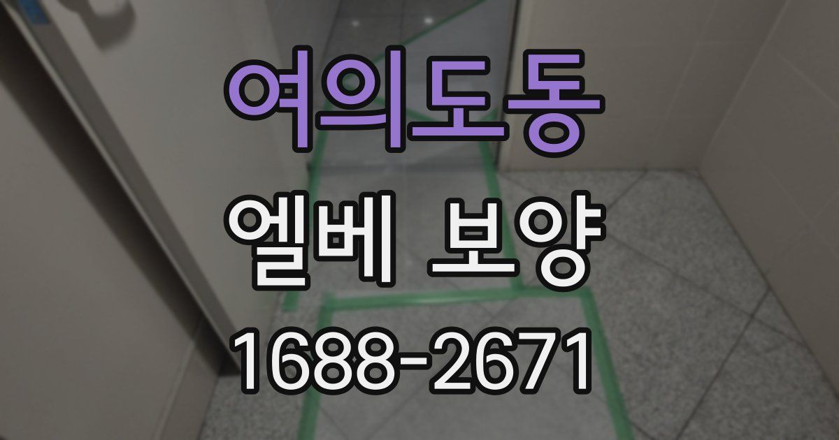 여의도동 엘베 보양