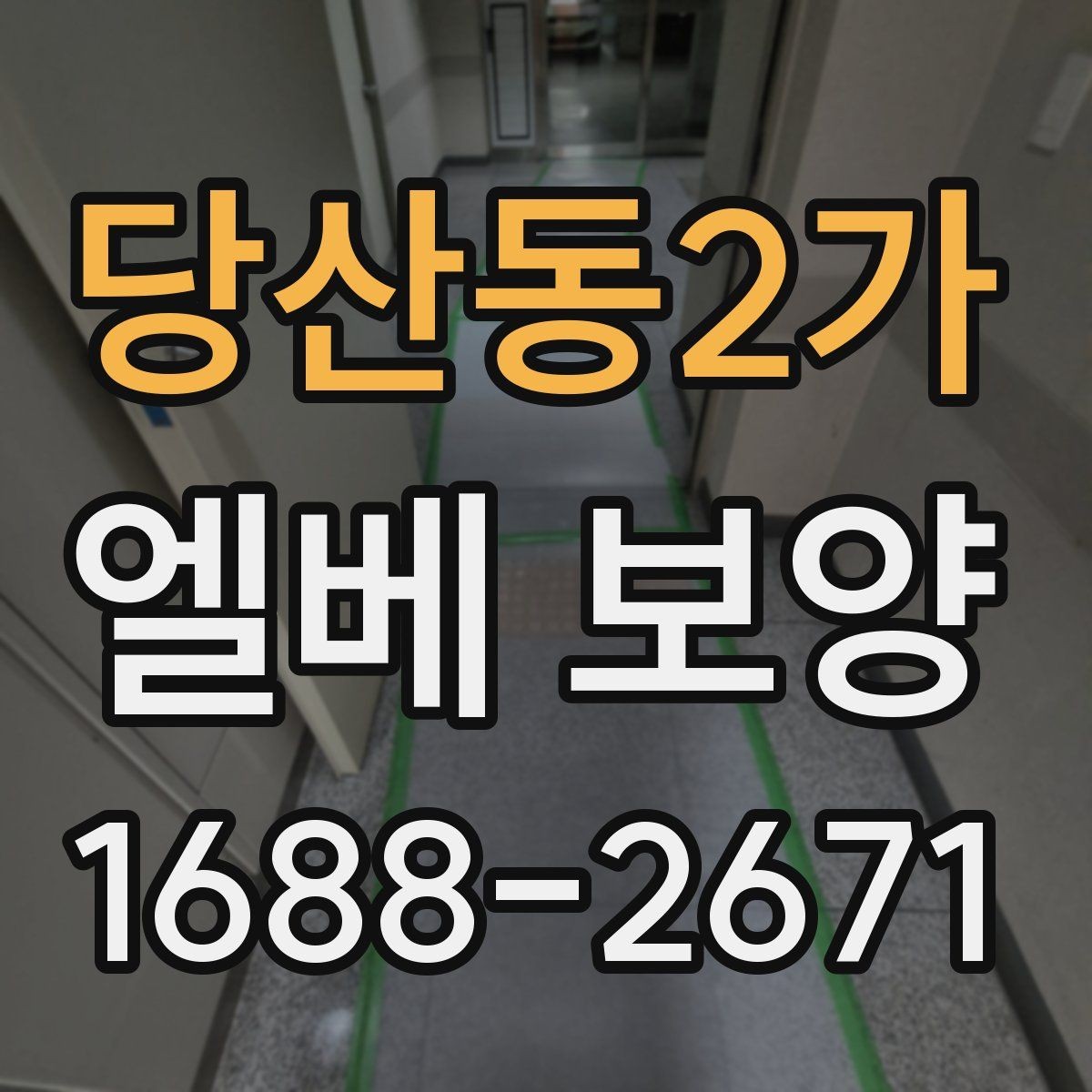 당산동2가 엘베 보양 공사 전후 꼭 챙길 구역 정리
