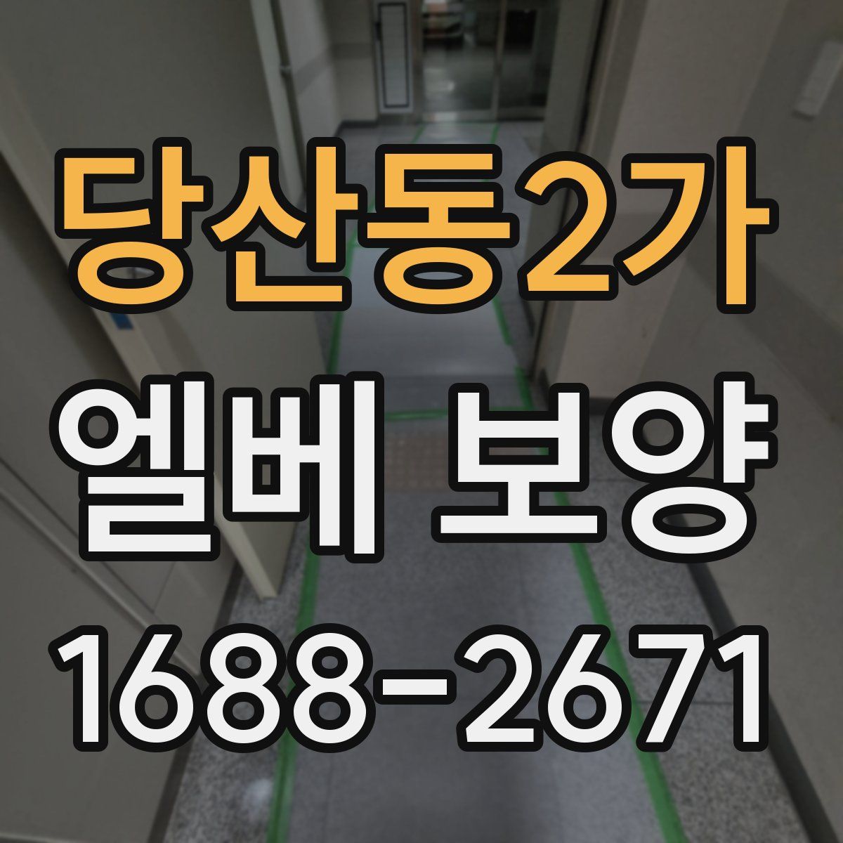 당산동2가 엘베 보양