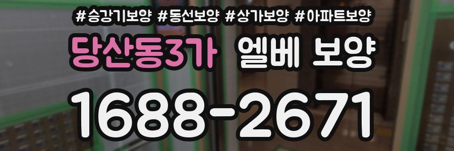 당산동3가 엘베 보양