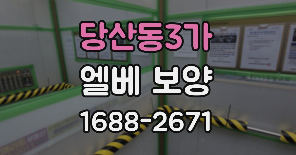 당산동3가 엘베 보양