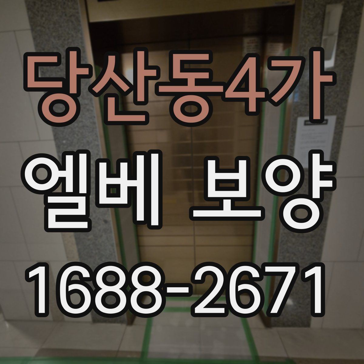 당산동4가 엘베 보양 스테인리스 표면 손상을 막는 포인트