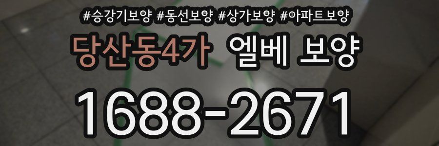당산동4가 엘베 보양