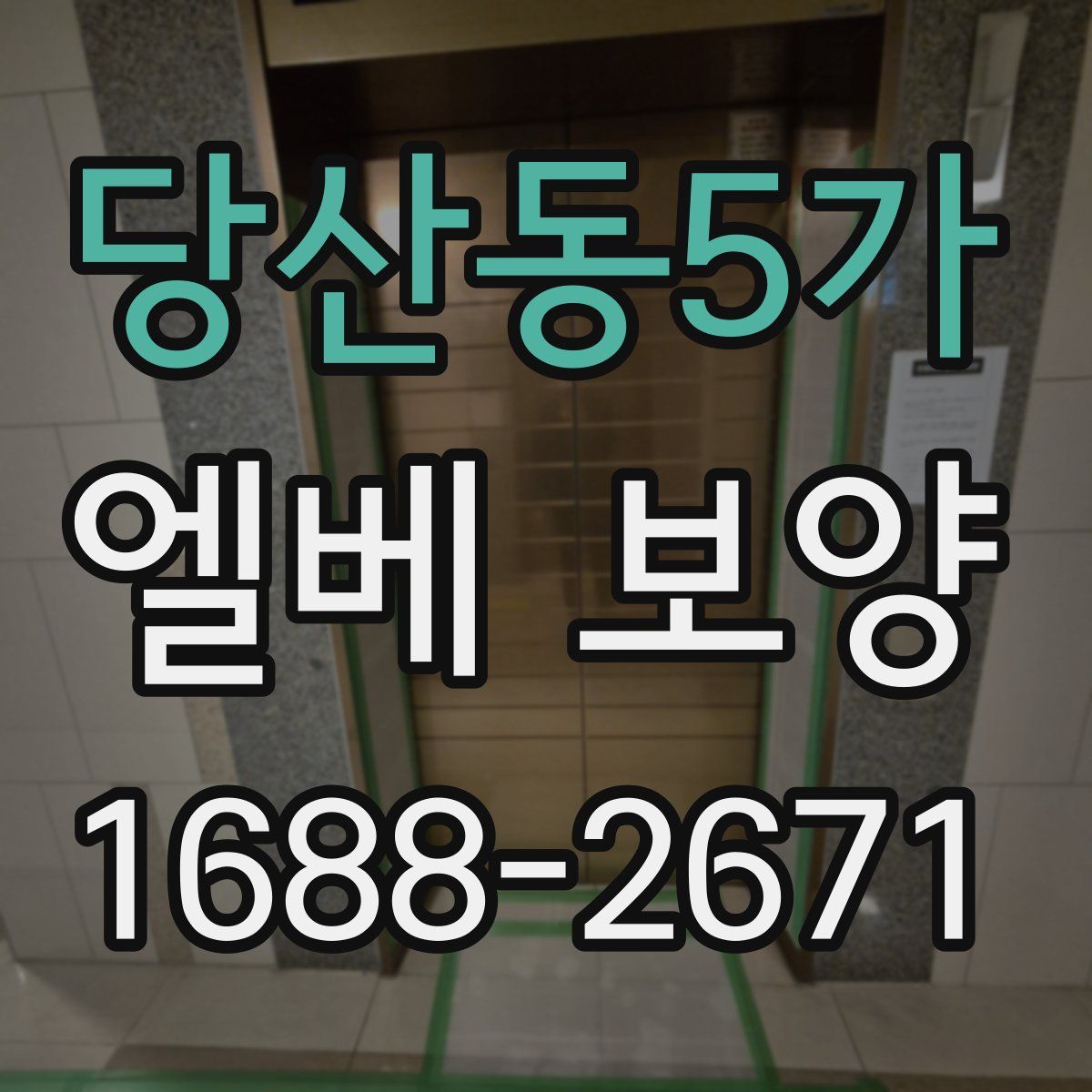 당산동5가 엘베 보양