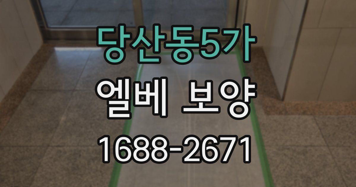 당산동5가 엘베 보양