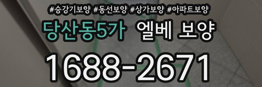 당산동5가 엘베 보양