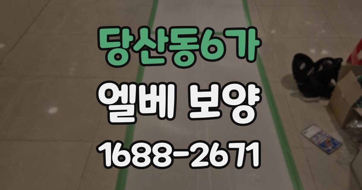 당산동6가 엘베 보양