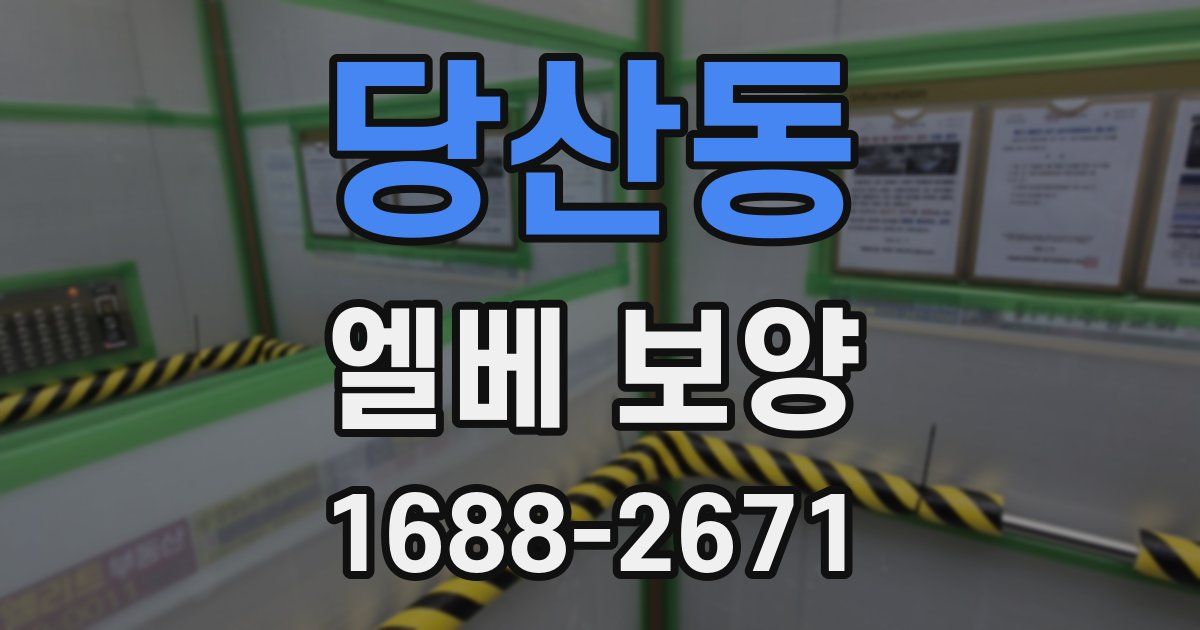 당산동 엘베 보양