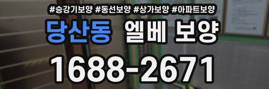 당산동 엘베 보양