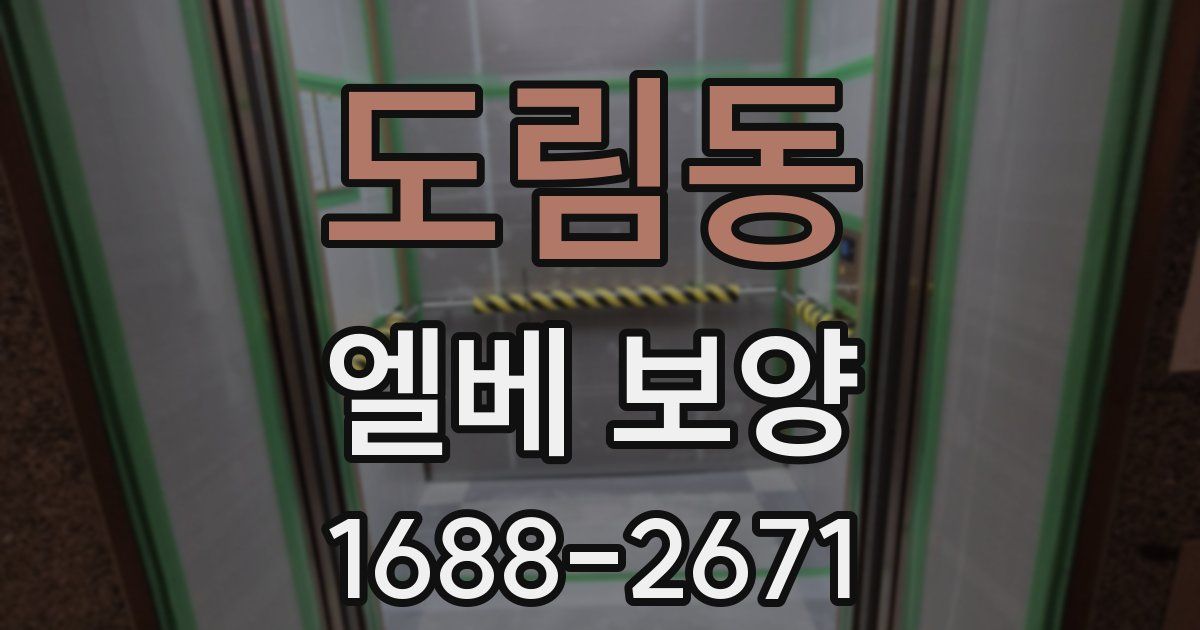 도림동 엘베 보양