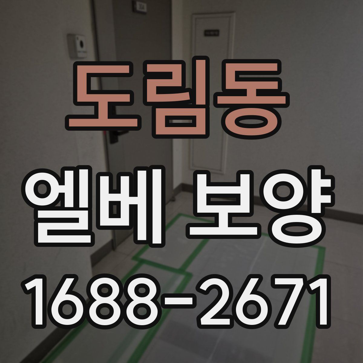 도림동 엘베 보양