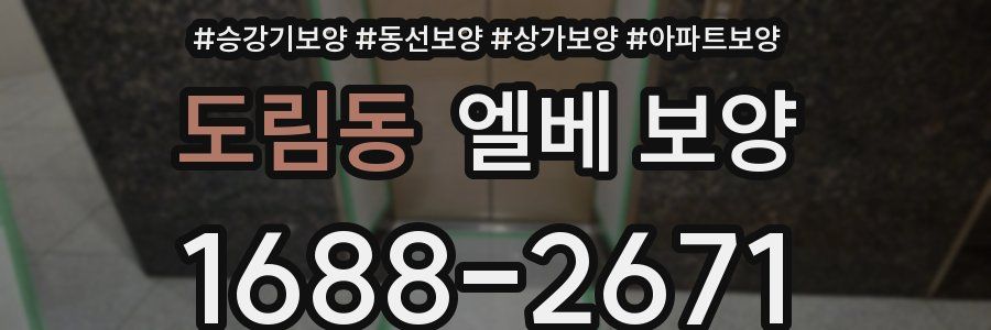 도림동 엘베 보양