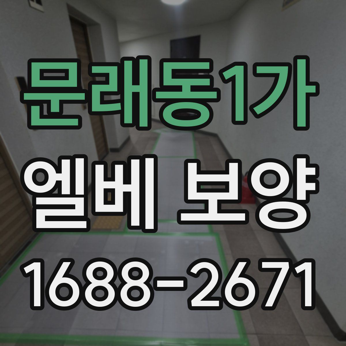 문래동1가 엘베 보양
