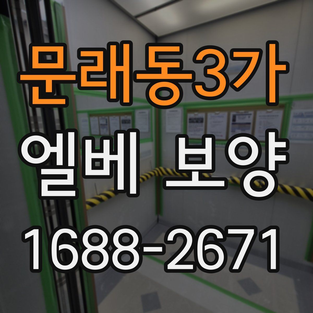문래동3가 엘베 보양