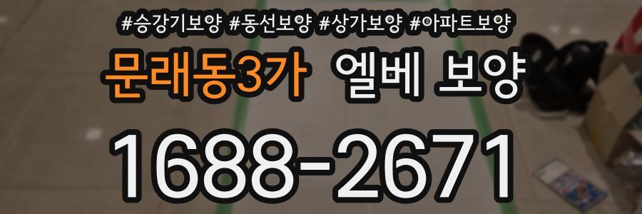 문래동3가 엘베 보양