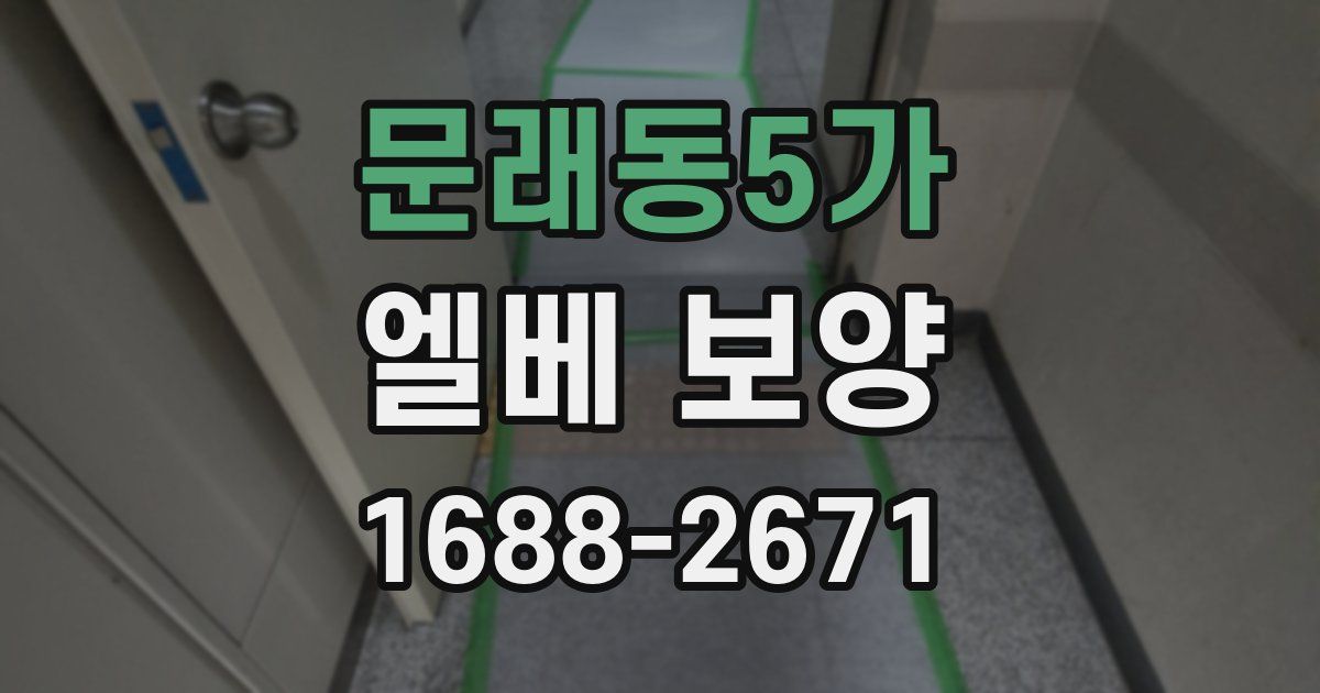 문래동5가 엘베 보양