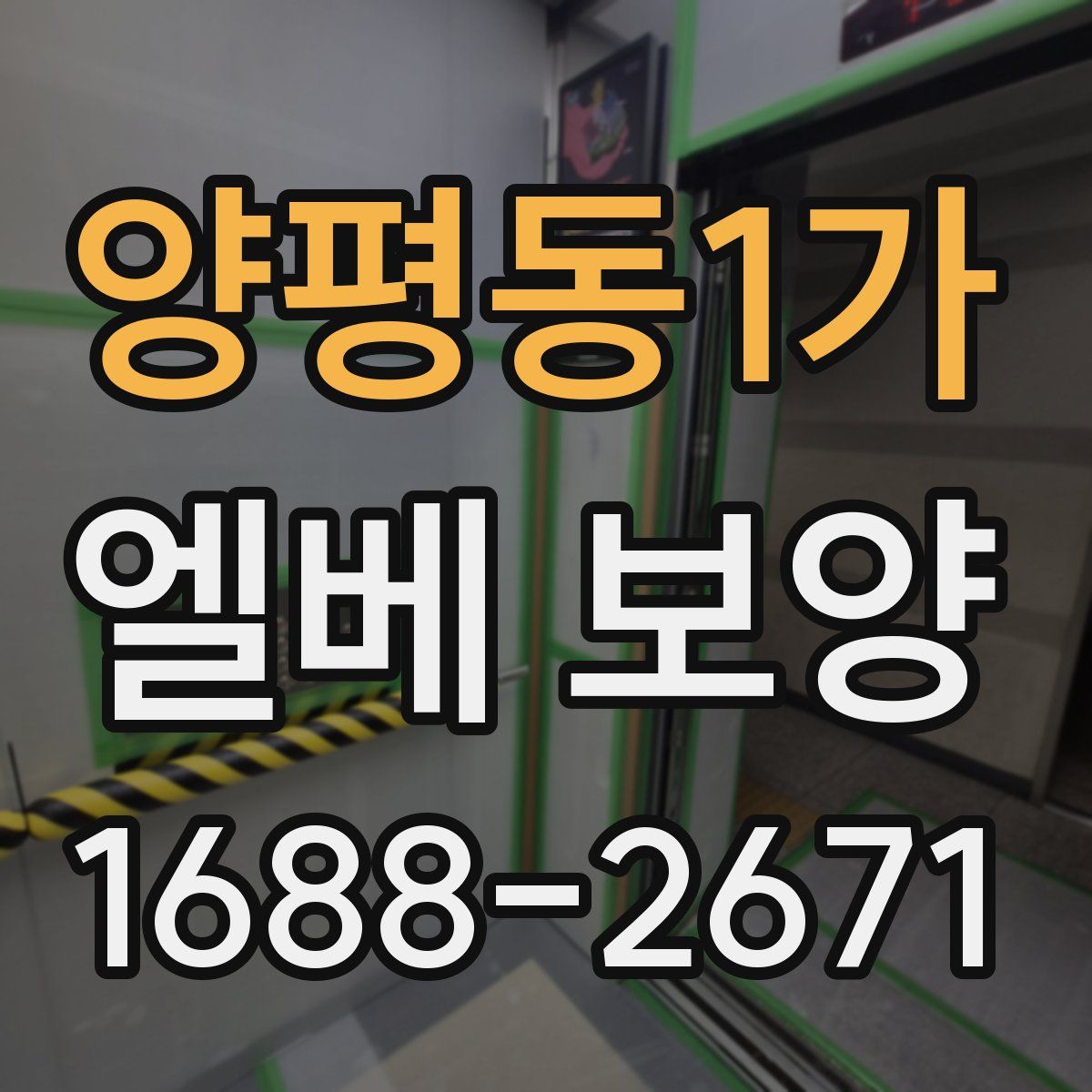 양평동1가 엘베 보양
