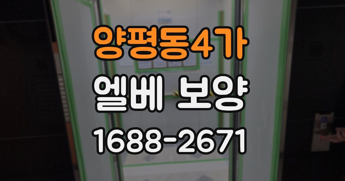 양평동4가 엘베 보양