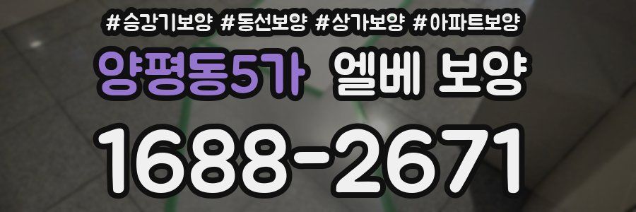 양평동5가 엘베 보양