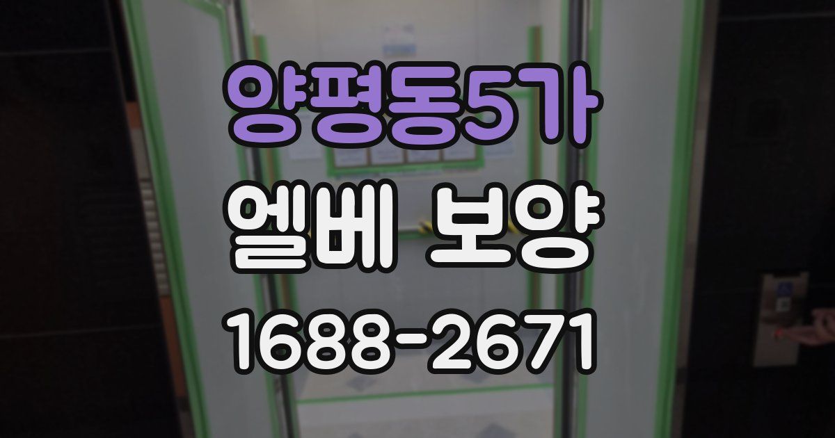 양평동5가 엘베 보양