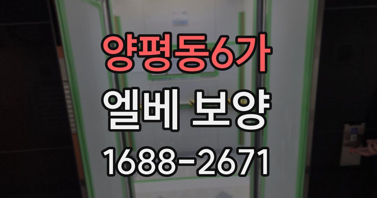 양평동6가 엘베 보양
