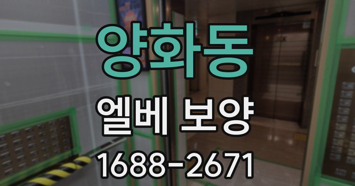 양화동 엘베 보양