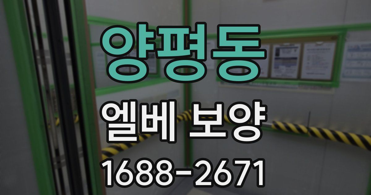 양평동 엘베 보양