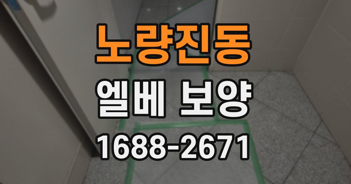 노량진동 엘베 보양