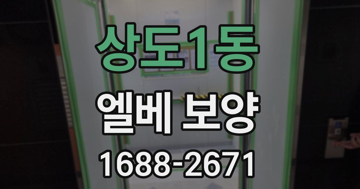 상도1동 엘베 보양