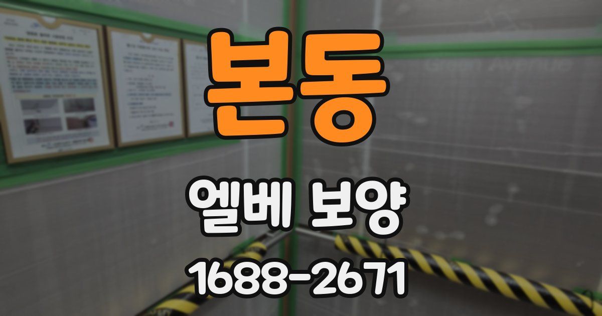 본동 엘베 보양
