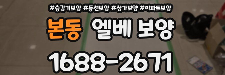 본동 엘베 보양
