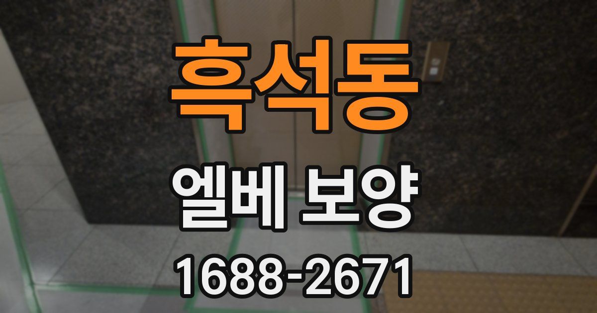 흑석동 엘베 보양