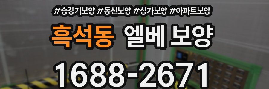 흑석동 엘베 보양