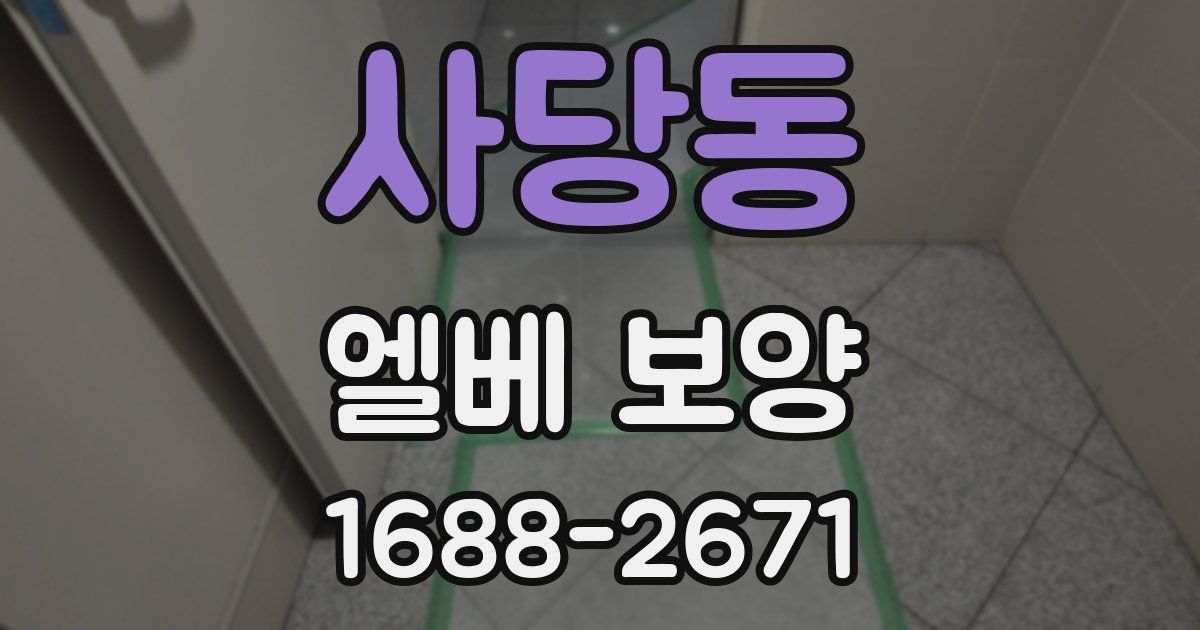 사당동 엘베 보양
