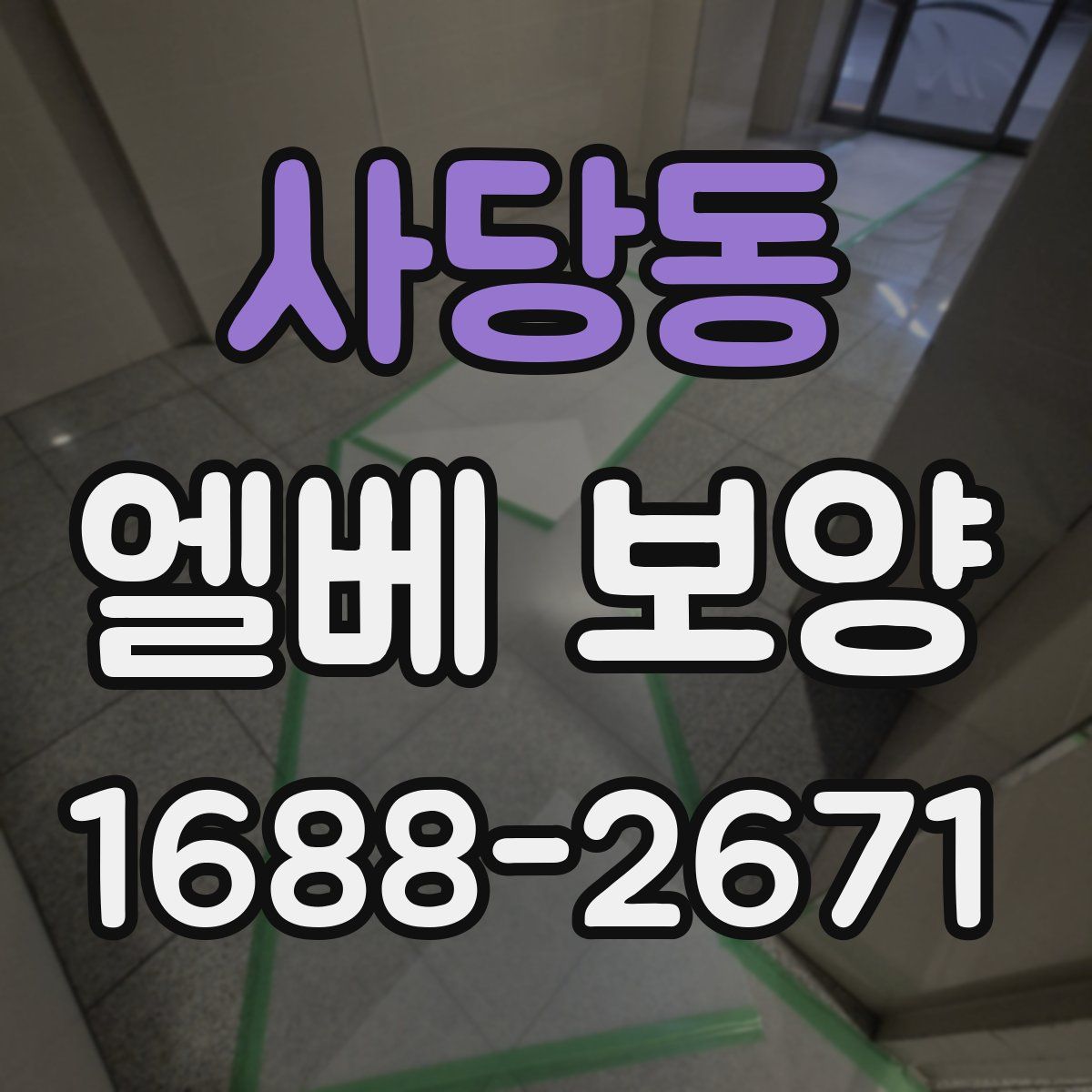 사당동 엘베 보양