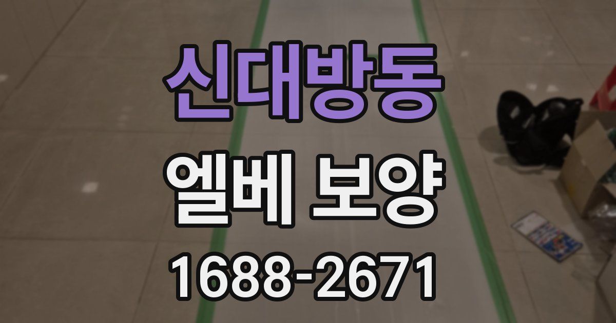 신대방동 엘베 보양
