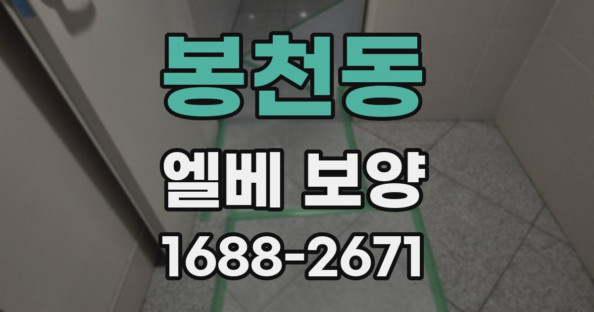 봉천동 엘베 보양