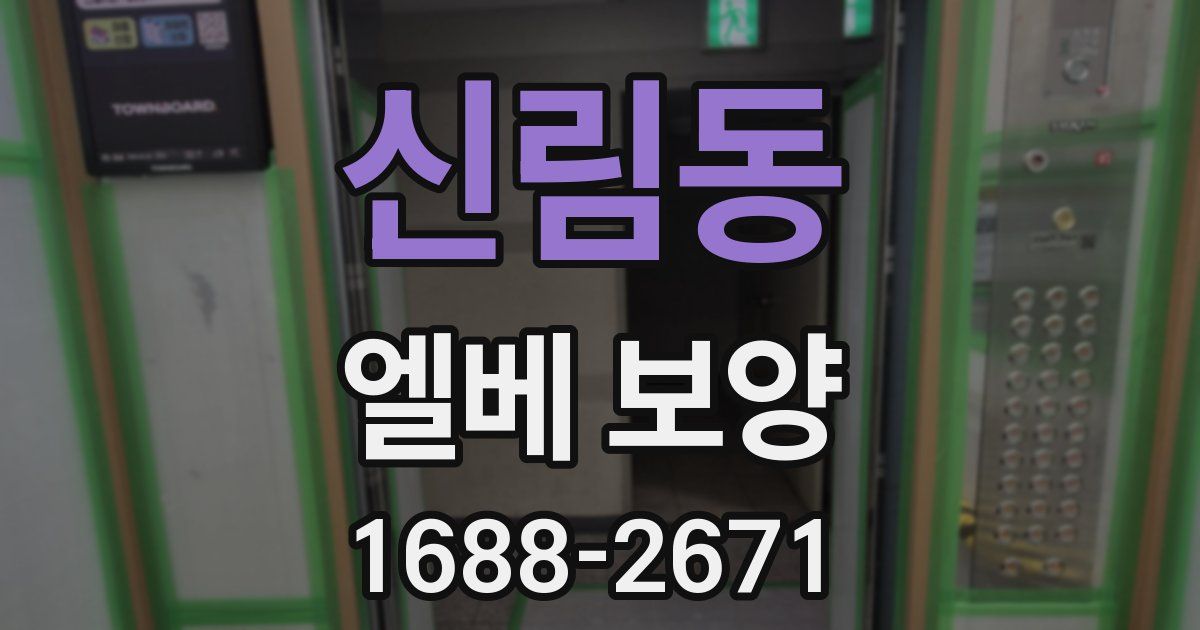 신림동 엘베 보양